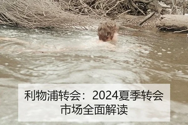 利物浦转会：2024夏季转会市场全面解读